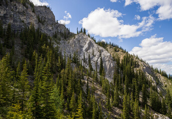 Beautiful mountain landscape on a sunny day - mountain peaks, sun rays and coniferous forest in...