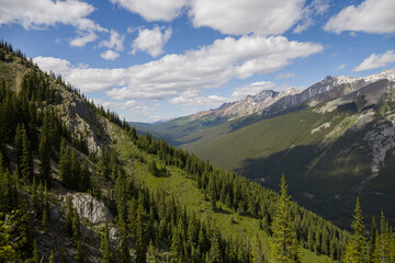 Fototapeta na wymiar Natural landscape - Bow River Valley, Rocky Mountains, coniferous forest and beautiful sky with clouds. Summer tourism in the mountains