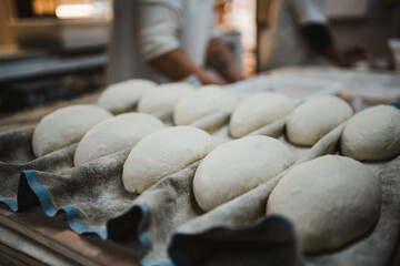 Round shaped bread doughs resting in a couche cloth full of flour in a bakery