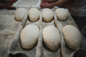 Shot of some bread doughs resting on a couche cloth in an artisan bakery