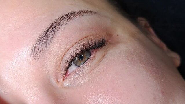 close up of eyelash extensions in beauty salon macro eye.
