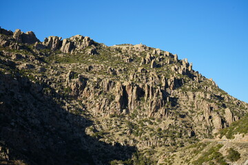 Snowy mountain with pine trees landscapes and natural winter scenes
