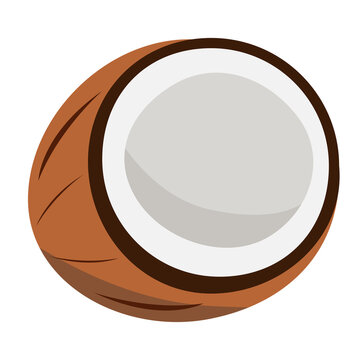 flat simple illustration of a brown coco nut in a shell half white