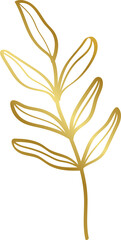 Fototapeta na wymiar Transparent Gold Floral Illustration