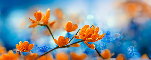 Dynamic and colorful floral design made of blooming orange flowers. Ideal for a graphic banner on the theme of flowers and seasons. Blue sky background. Generative AI