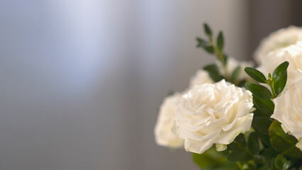 White roses in a vase with a green stem