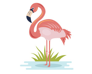 pink flamingo stands on the shore and catches fish. bird character in natural habitat. flat vector illustration.