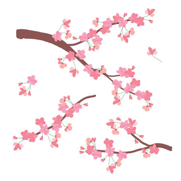 Sakura symbol of spring. Wedding background. Japanese vector illustration in anime style. Cherry blossom branch isolated on a white background. Clipart for invitations.