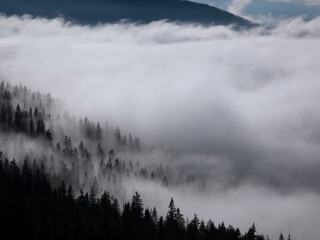 Cloudy landscape. Foggy day in the mountains. Mountain peaks and forest in dense fog.