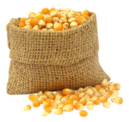 Corns in sack bag