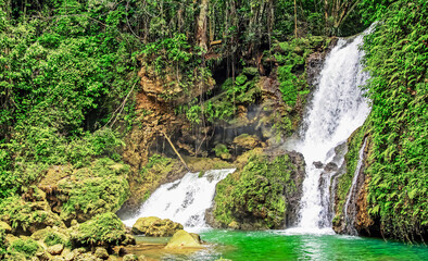 Natural green water pool, rocks jungle forest waterfall - YS falls, Jamaica - obrazy, fototapety, plakaty