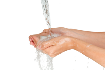 Hands Washed with Soap and Water