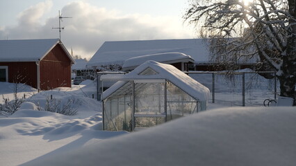 Obraz na płótnie Canvas Green house in winter, cowered by snow 