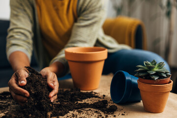 Hands collect soil for planting flowers