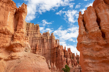 Close up scenic view of the wall of windows on Peekaboo hiking trail in Bryce Canyon National Park, Utah, USA. Massive steep hoodoo sandstone rock formations in natural amphitheatre in sunny summer