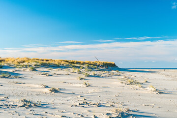 Sparziergang am Nachmittag