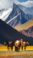 horses on a mountain pasture