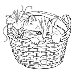 kitten cat in a basket with flowers. Children's coloring, Vector