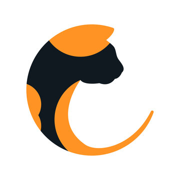 CAT Black and Orange