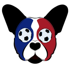 French bulldog, with france flag colors