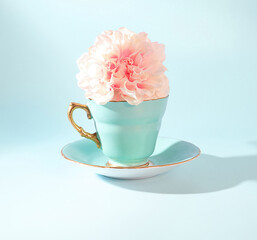 The Perfect Springtime Sip: A Pretty Cup of Floral Tea with Blooming Pink Botanical Florals on a...