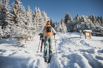 Mountaineer backcountry ski walking ski alpinist in the mountains. Ski touring in alpine landscape with snowy trees. Adventure winter sport. Kralova hola, Slovakia © Zedspider
