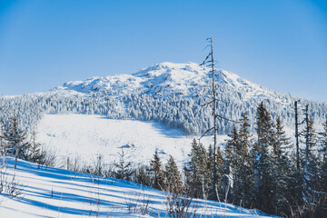 Alpine mountains landscape with white snow and blue sky. Sunset winter in nature. Frosty trees under warm sunlight.  Hiking winter to kralova hola, low tatras slovakia landscape © Zedspider