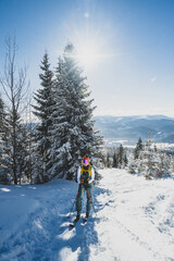 Mountaineer backcountry ski walking ski alpinist in the mountains. Ski touring in alpine landscape with snowy trees. Adventure winter sport. Kralova hola, Slovakia © Zedspider