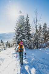 Mountaineer backcountry ski walking ski alpinist in the mountains. Ski touring in alpine landscape with snowy trees. Adventure winter sport. Kralova hola, Slovakia © Zedspider
