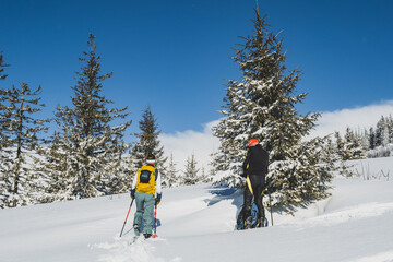 Mountaineer backcountry ski walking ski alpinist in the mountains. Ski touring in alpine landscape with snowy trees. Adventure winter sport. Kralova hola, Slovakia © Zedspider