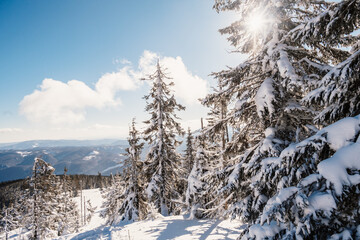 Alpine mountains landscape with white snow and blue sky. Sunset winter in nature. Frosty trees under warm sunlight.  Hiking winter to kralova hola, low tatras slovakia landscape © Zedspider