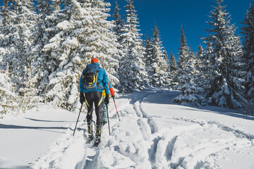 Mountaineer backcountry ski walking ski alpinist in the mountains. Ski touring in alpine landscape with snowy trees. Adventure winter sport. Kralova hola, Slovakia © Zedspider