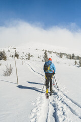 Mountaineer backcountry ski walking ski alpinist in the mountains. Ski touring in alpine landscape with snowy trees. Adventure winter sport. Kralova hola, Slovakia © Zedspider