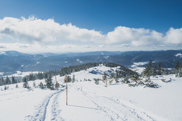 Alpine mountains landscape with white snow and blue sky. Sunset winter in nature. Frosty trees under warm sunlight.  Hiking winter to kralova hola, low tatras slovakia landscape © Zedspider