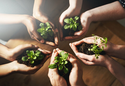 Little By Little We Can All Make A Difference. Cropped Shot Of A Group Of People Holding Plants Growing Out Of Soil.