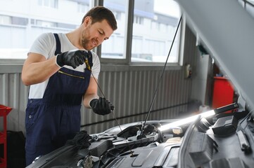 Portrait of a smiling fixing a car engine in his garage