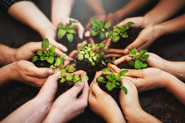 Green is the solution to the worlds pollution. Cropped shot of a group of people holding plants growing out of soil.