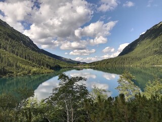 Fototapeta premium Forest and road is a beautiful combination, isn't it?Forest and road is a beautiful combination, isn't it?
