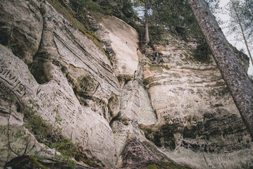 forest sand rock outcrops in Latvia