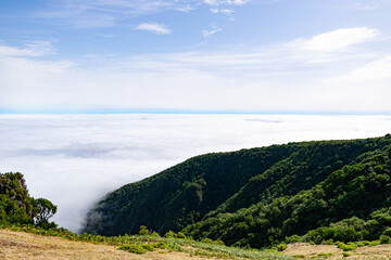 Obraz premium Madeira holiday summer trip vacation tourism mountains sunny day green trees landscape