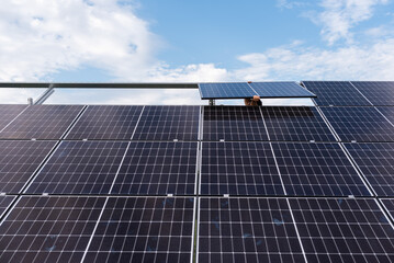 Photovoltaic panels during installation on the ground