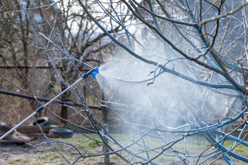 A woman works in the spring garden and spray with a rechargeable sprayer chemicals against pests...