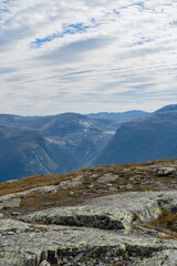 Fototapeta na wymiar Oksen in Norway