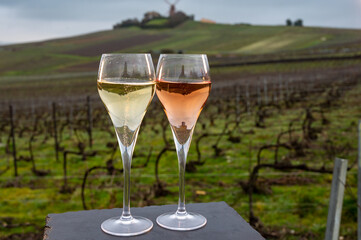 Tasting of brut and rose champagne sparkling wine outdoor with view on pinot noir gran cru vineyards of famous champagne houses in Montagne de Reims near Verzenay, Champagne, France