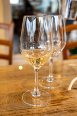 Tasting of cold brut Champagne sparkling wine in cellars of gran cru wine house in near Reims, wine tour in Champagne, France