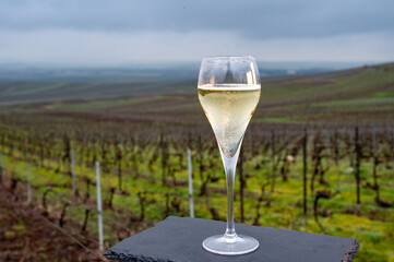 Tasting of brut champagne sparkling wine outdoor with view on pinot noir gran cru vineyards of...