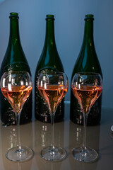 Tasting of rose brut Champagne sparkling wine in cellars of gran cru wine house in Epernay, wine tour in Champagne, France