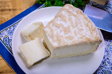 Piece of french soft-ripened white mold cow milk cheese brie produced in Seine-et-Marne region, France