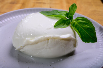 White ball of Italian soft cheese Mozzarella di Bufala Campana served with fresh green basil