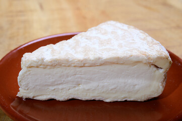 Piece of french soft-ripened white mold cow milk cheese brie produced in Seine-et-Marne region, France